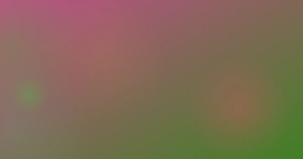 孙绍龙推荐：新手入门